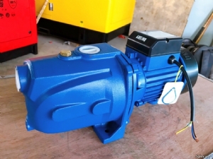 Bơm đầu lợn ADELINO 750W